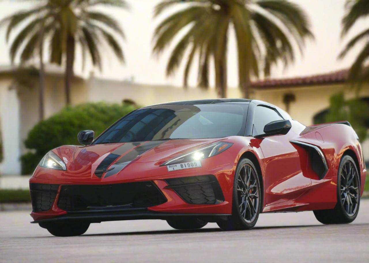 WhatsApp Image 2026-02-27 at 3.31.17 PM (1)