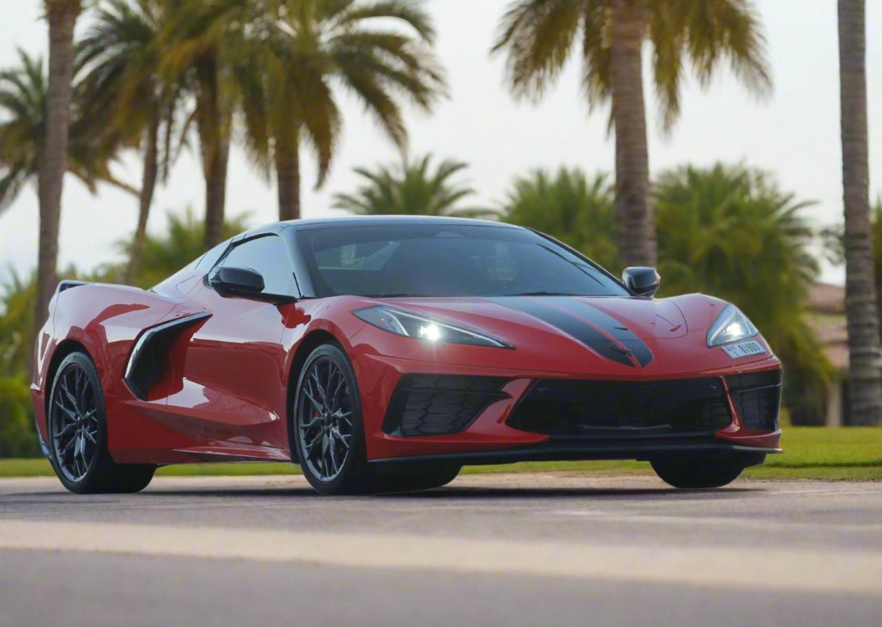 WhatsApp Image 2026-02-27 at 3.31.18 PM (1)